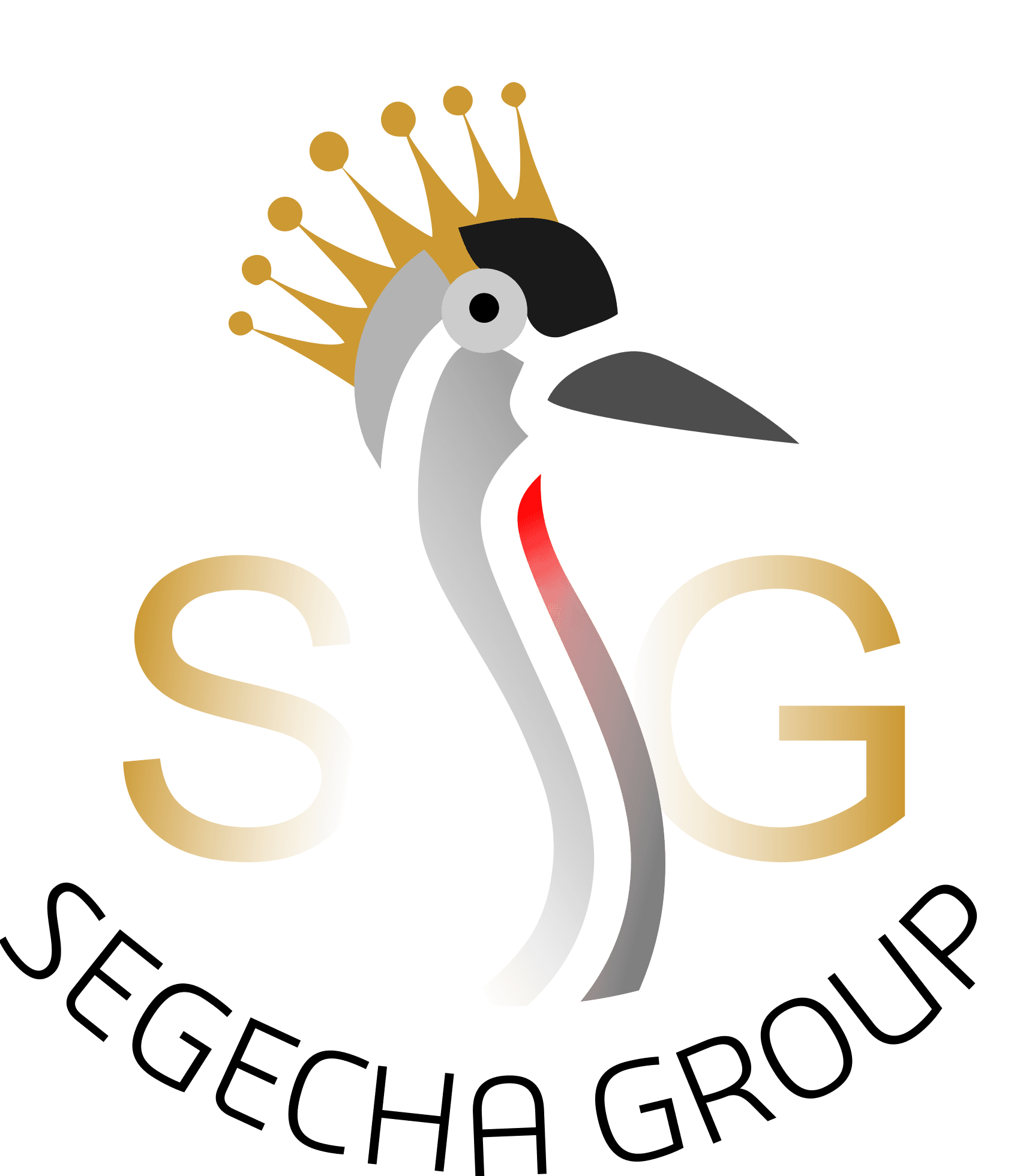Segecha Group Logo