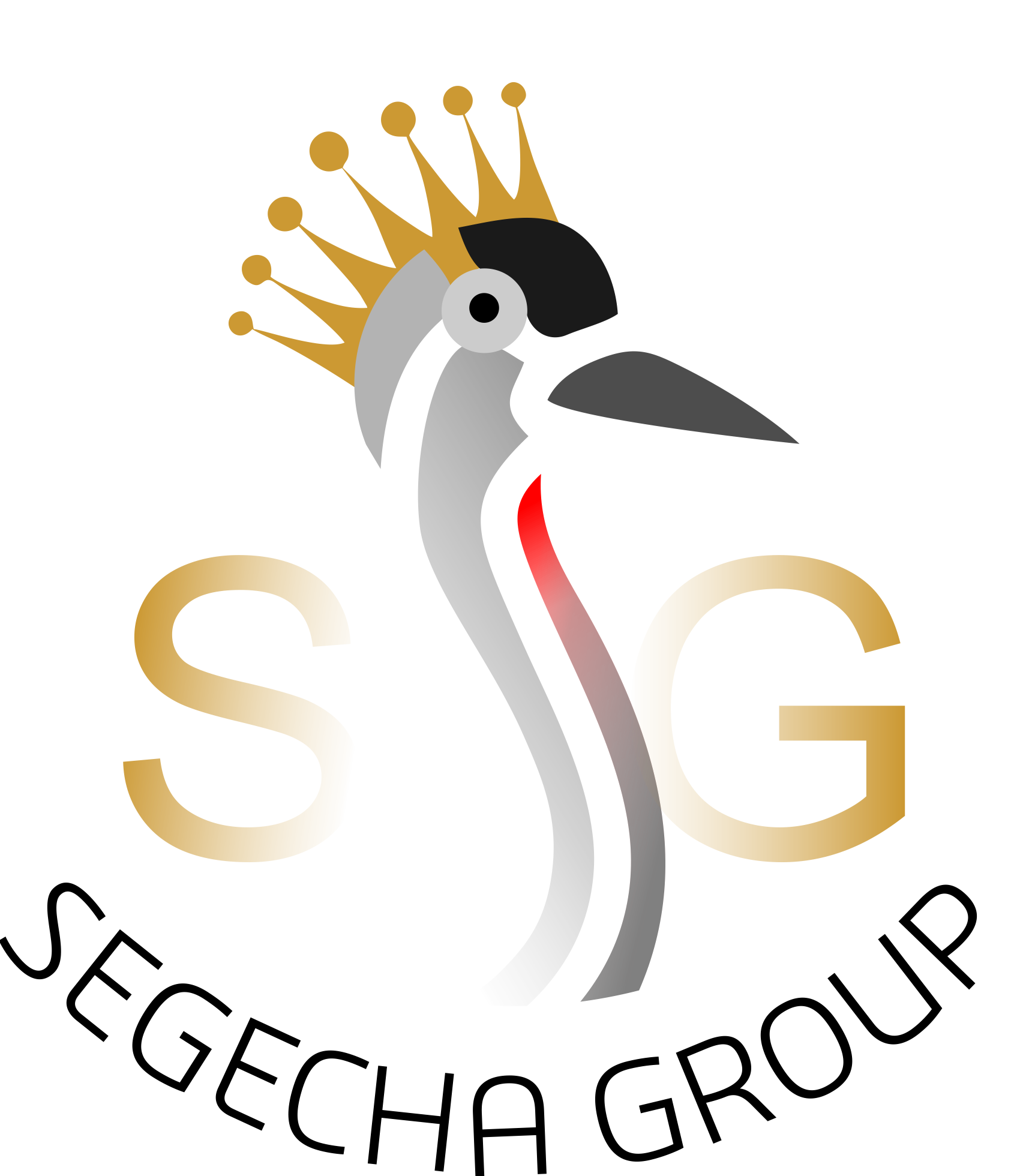 Segecha Group Logo